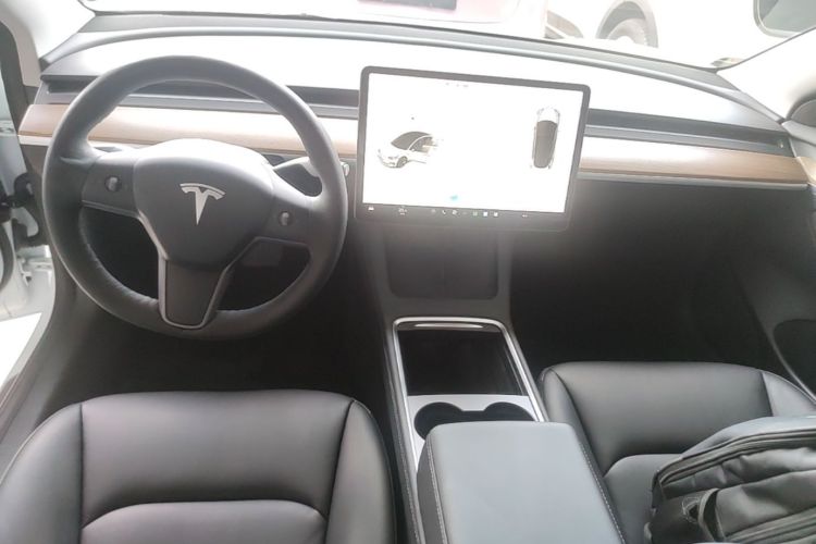 Tesla Model 3 2021 car image #10