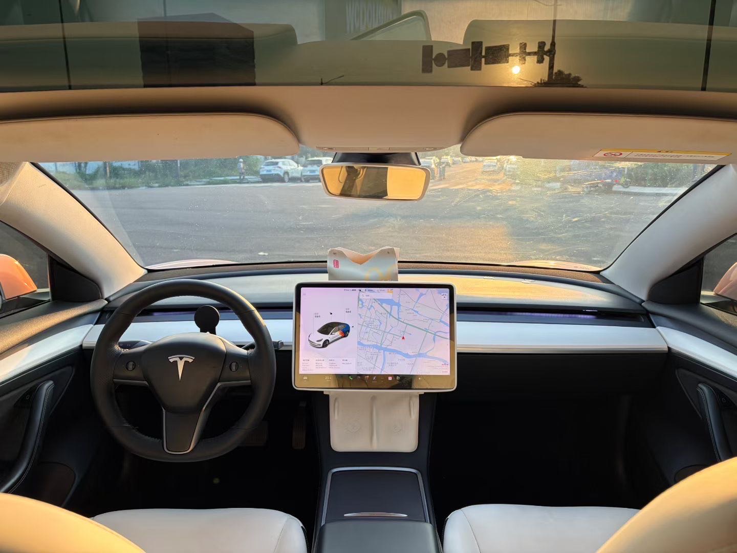 Tesla Model 3 2021 car image #6