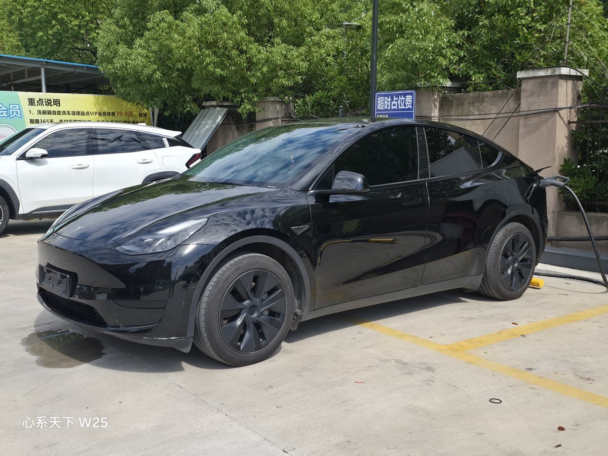 Tesla Model Y 2024 car image 