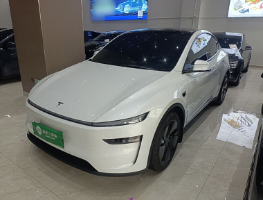 Tesla Model Y 2025 Tesla Model Y 2025 car image