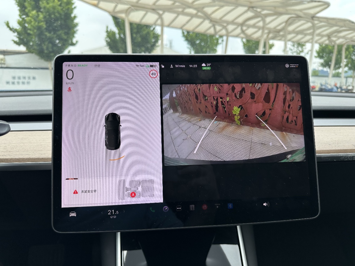 Tesla Model 3 2020 car image #13