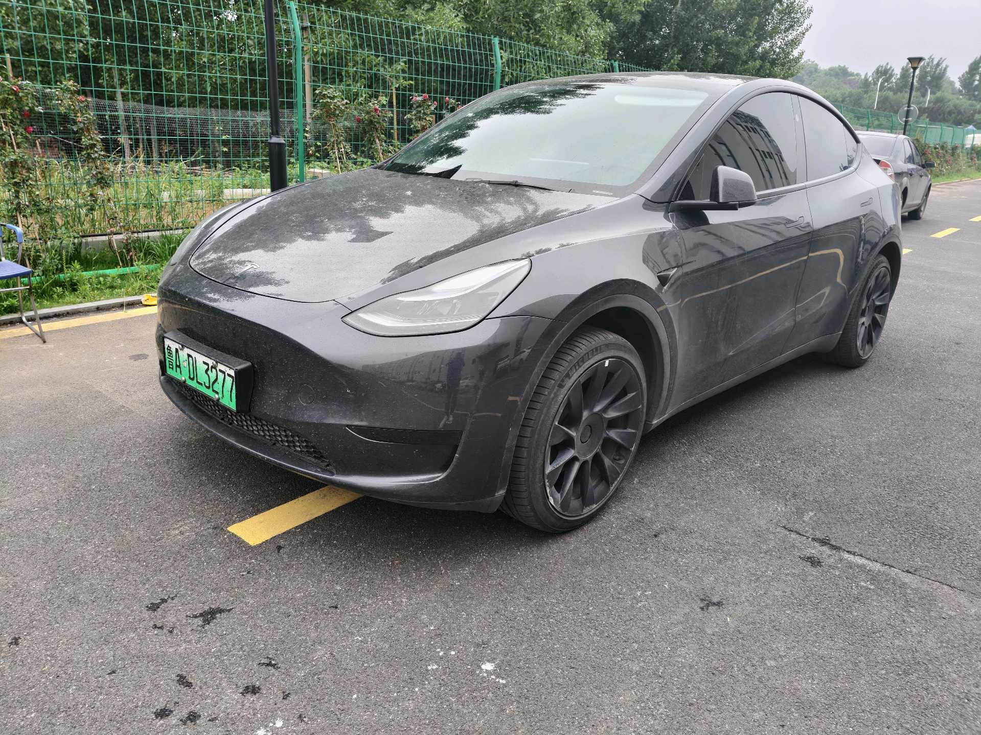 Tesla Model Y 2024 car image 