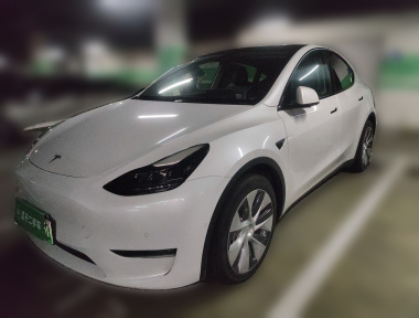 Tesla Model Y 2021 Tesla Model Y 2021 car image
