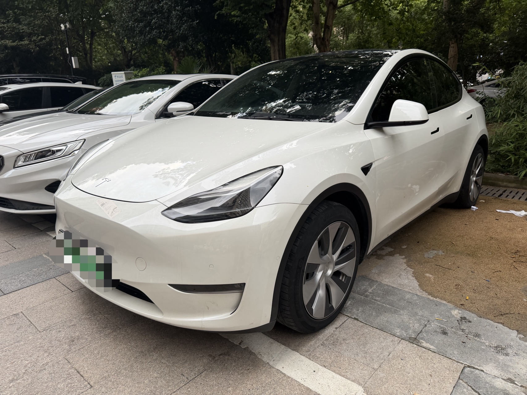 Tesla Model Y 2021 car image 