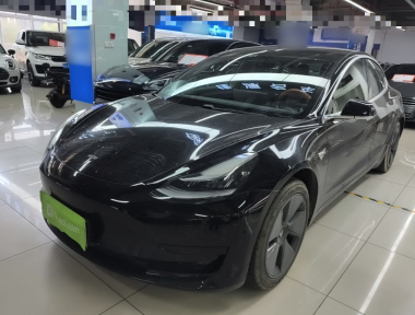 Tesla Model 3 2020 Tesla Model 3 2020 immagine di auto