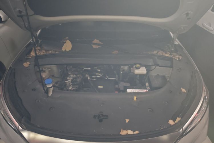 BYD Yuan Plus 2023 car image #18