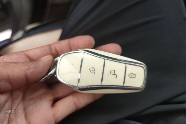 BYD Yuan Plus 2022 car image #10