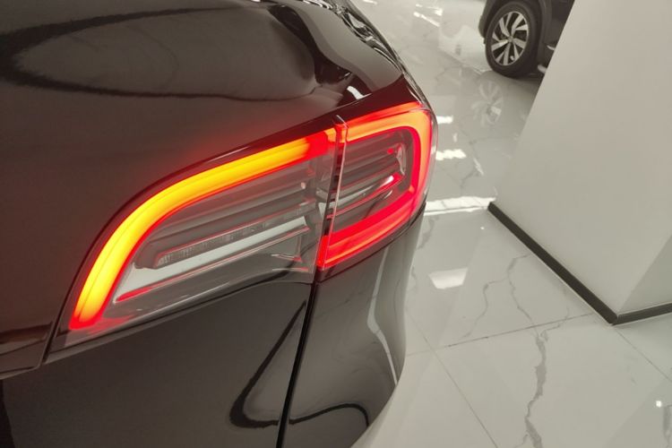 Tesla Model Y 2021 #8 Tesla Model Y 2021 car image #8