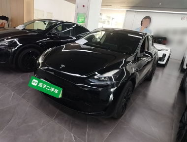 Tesla Model Y 2023 Tesla Model Y 2023 car image