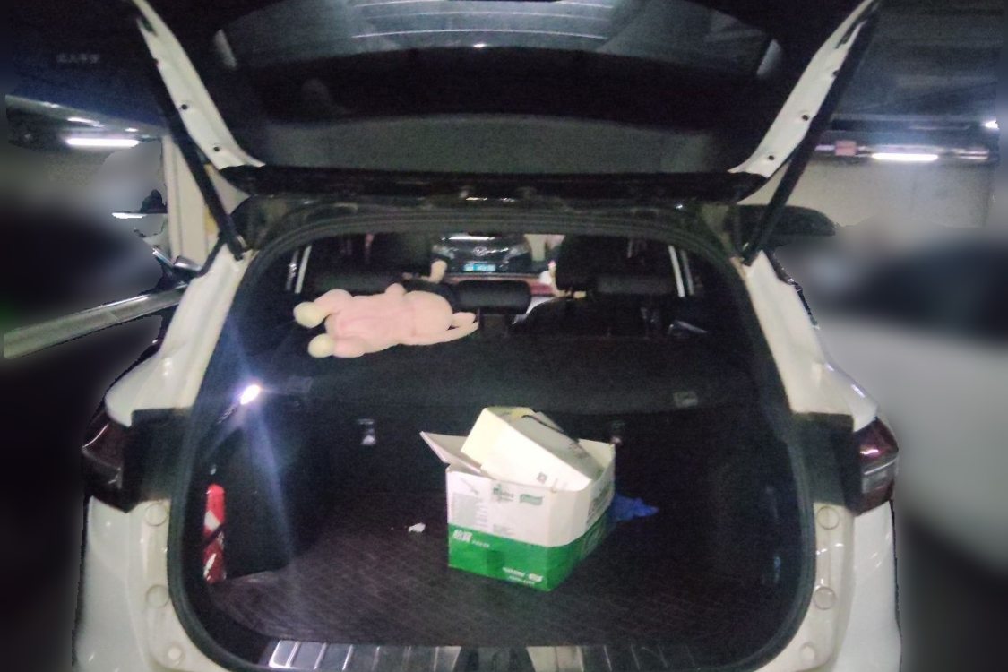GEELY Coolray 2021 #8 GEELY Coolray 2021 car image #8