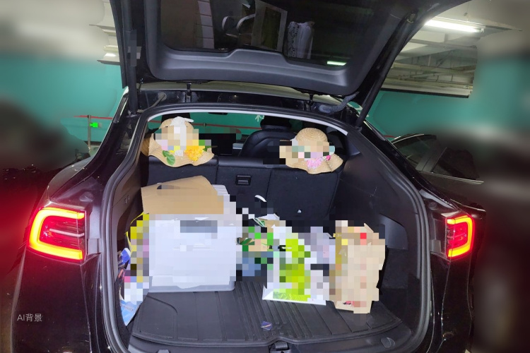 Tesla Model Y 2023 car image #21