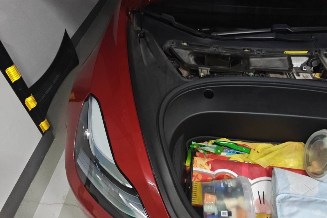Tesla Model 3 2020 immagine di auto #11