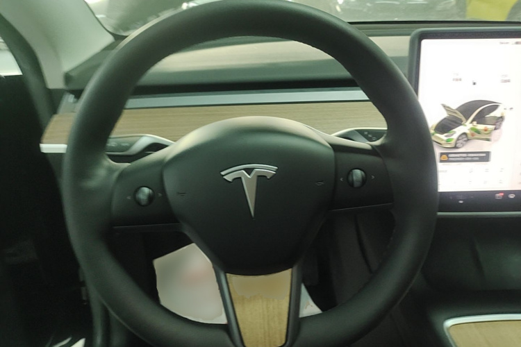 Tesla Model Y 2022 car image #15
