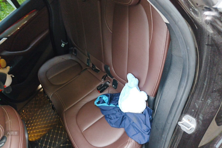 BMW X1 2018 car image #19