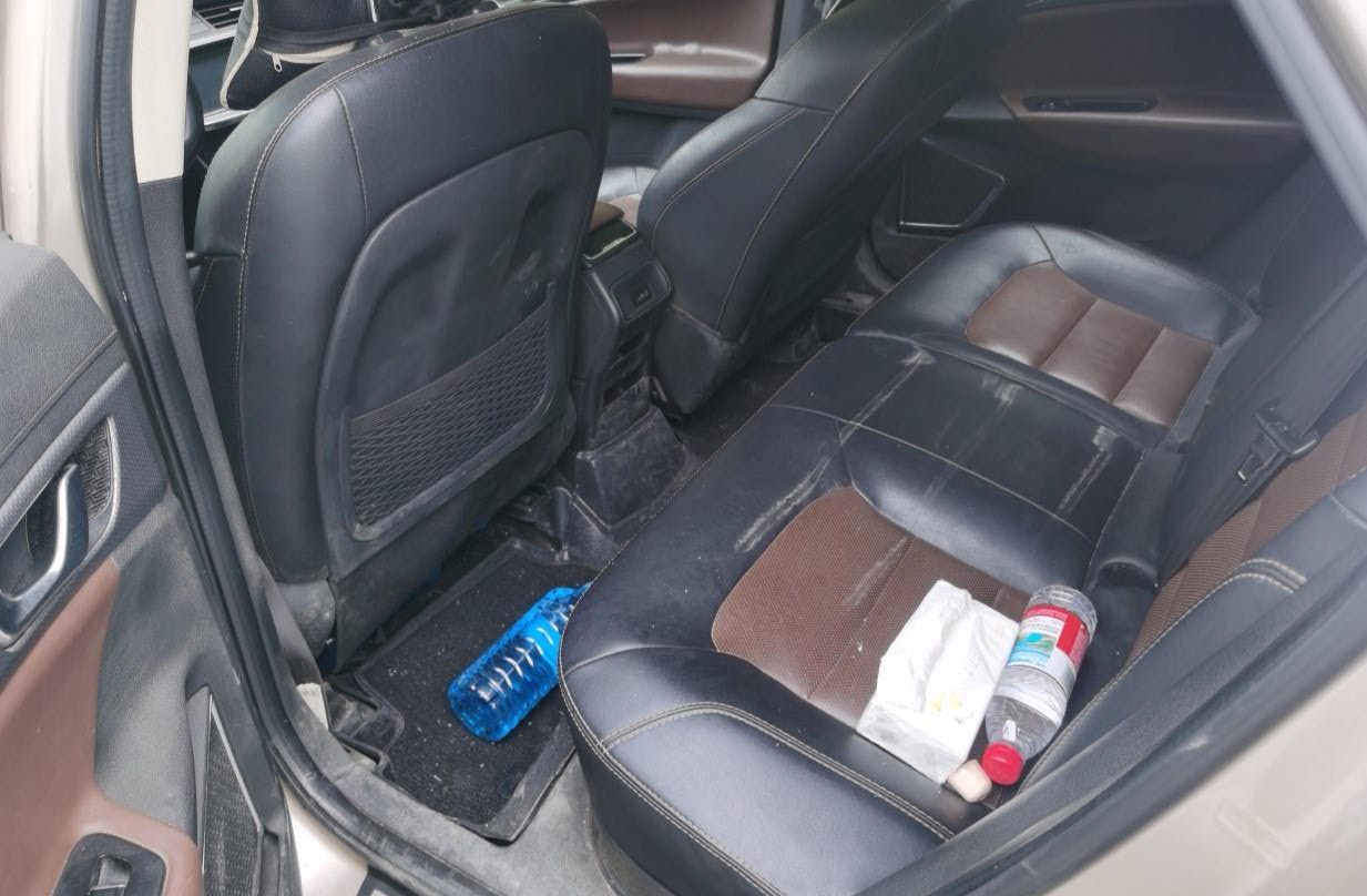 GEELY Emgrand GS 2017 immagine di auto #4