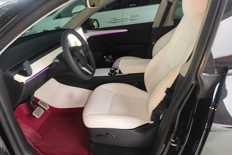 Tesla Model Y 2021 car image #15