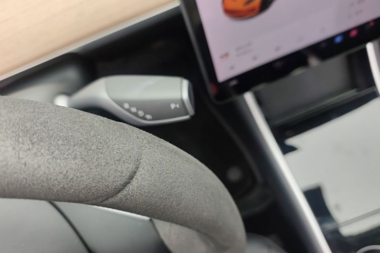 Tesla Model 3 2020 car image #14