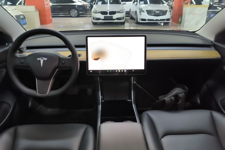 Tesla Model 3 2020 #10 Tesla Model 3 2020 car image #10
