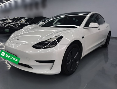 Tesla Model 3 2020 car image 