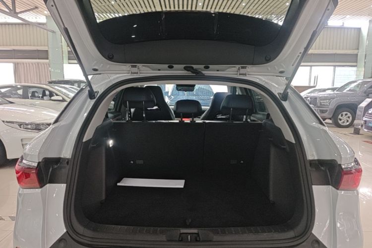 BYD Yuan Plus 2023 car image #19