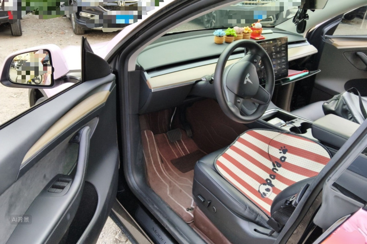Tesla Model Y 2022 #18 Tesla Model Y 2022 car image #18