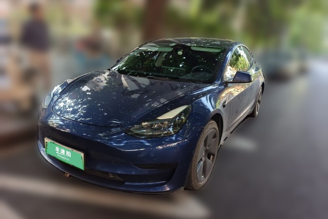 Tesla Model 3 2021 Tesla Model 3 2021 car image