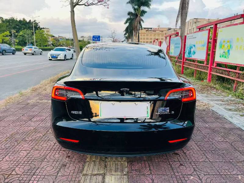 Tesla Model 3 2020 #5 Tesla Model 3 2020 car image #5