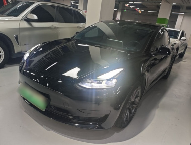 Tesla Model 3 2022 Tesla Model 3 2022 car image