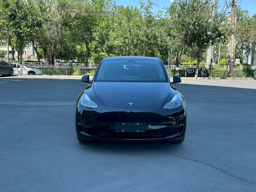 Tesla Model Y 2021 car image #2