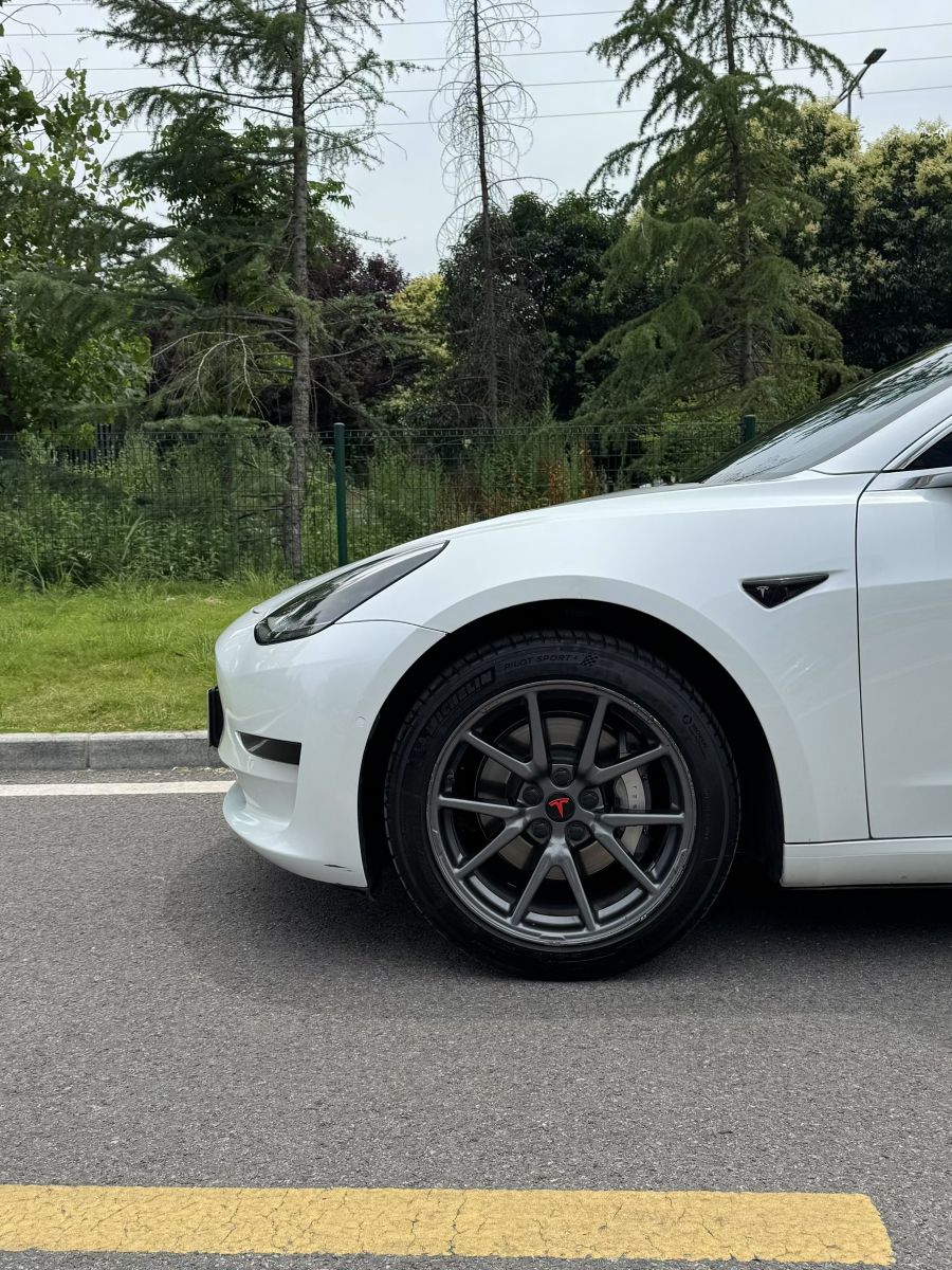 Tesla Model 3 2020 #4 Tesla Model 3 2020 car image #4