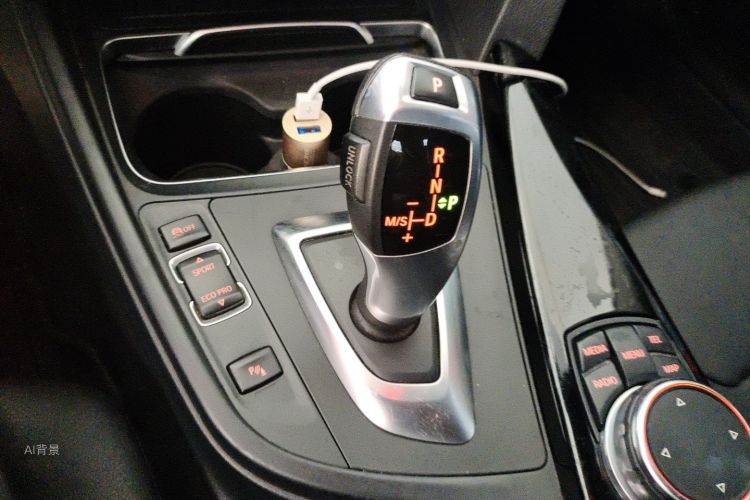 BMW 3 Series 2016 car image #16