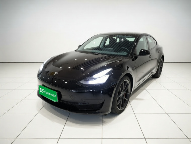 Tesla Model 3 2020 Tesla Model 3 2020 car image