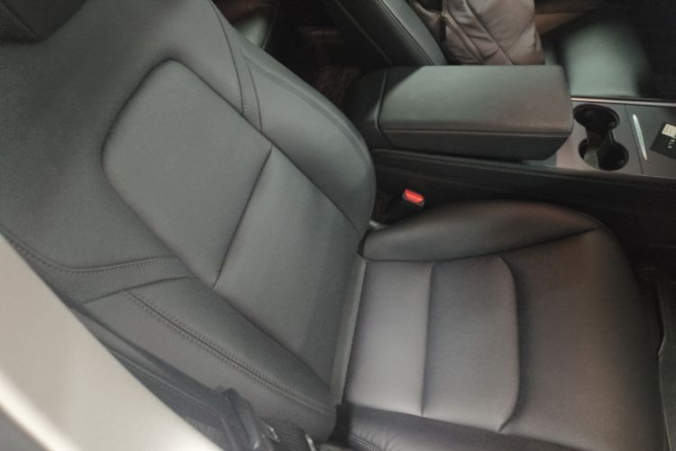 Tesla Model 3 2021 صورة سيارة #24
