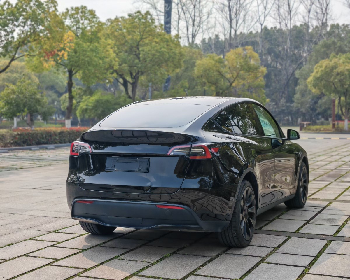 Tesla Model Y 2022 car image #8