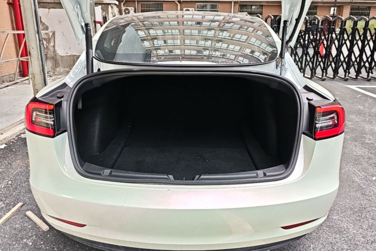 Tesla Model 3 2021 car image #19