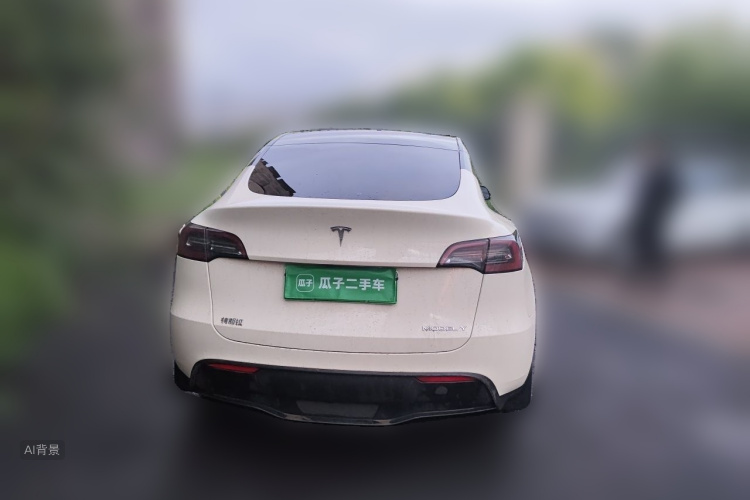 Tesla Model Y 2021 car image #6