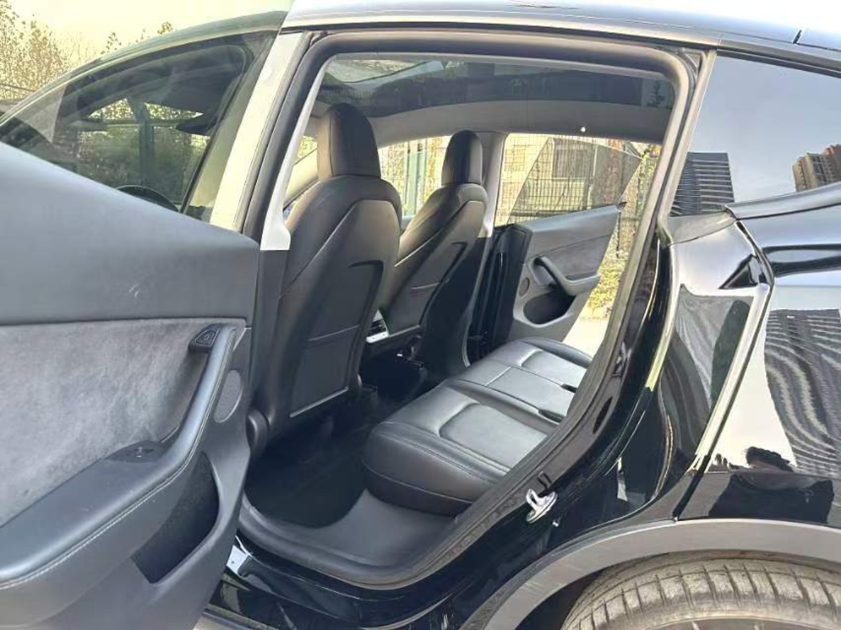 Tesla Model Y 2022 car image #8