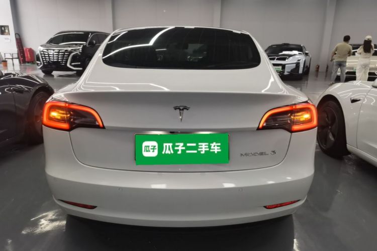 Tesla Model 3 2020 car image #6