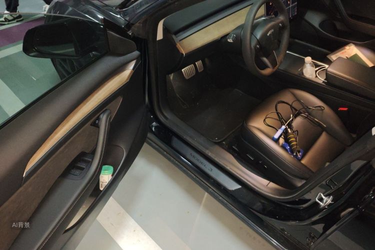 Tesla Model 3 2021 изображение автомобиля #18