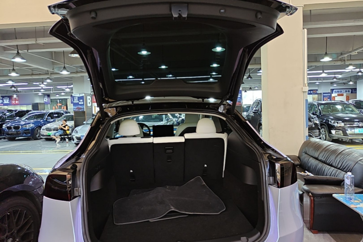 Tesla Model Y 2023 car image #19