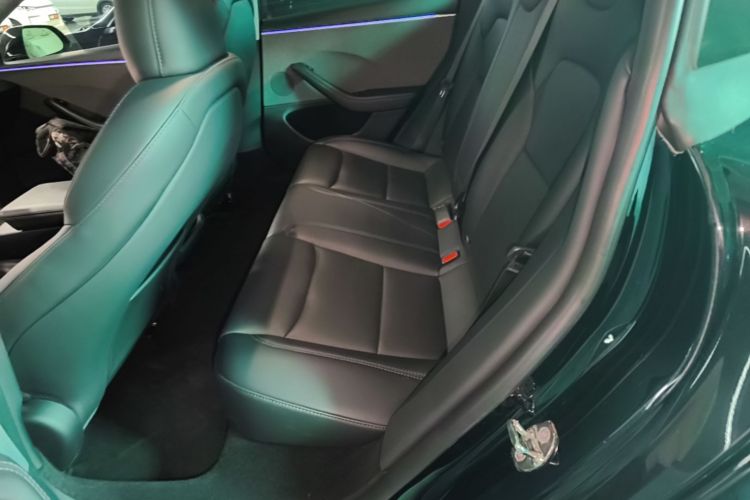Tesla Model 3 2024 #17 Tesla Model 3 2024 car image #17