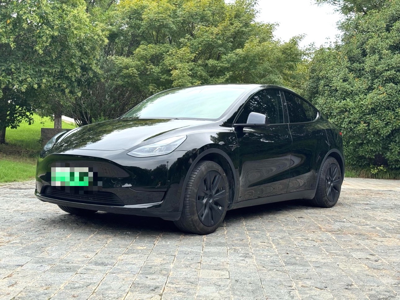 Tesla Model Y 2023 Tesla Model Y 2023 car image