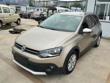 Volkswagen Polo 2016 Volkswagen Polo 2016 car image