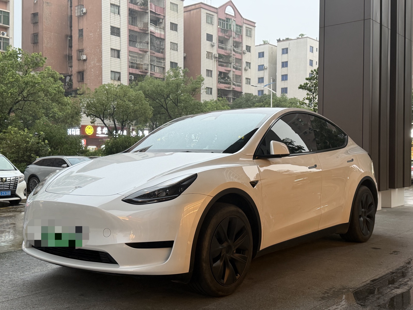 Tesla Model Y 2024 car image 