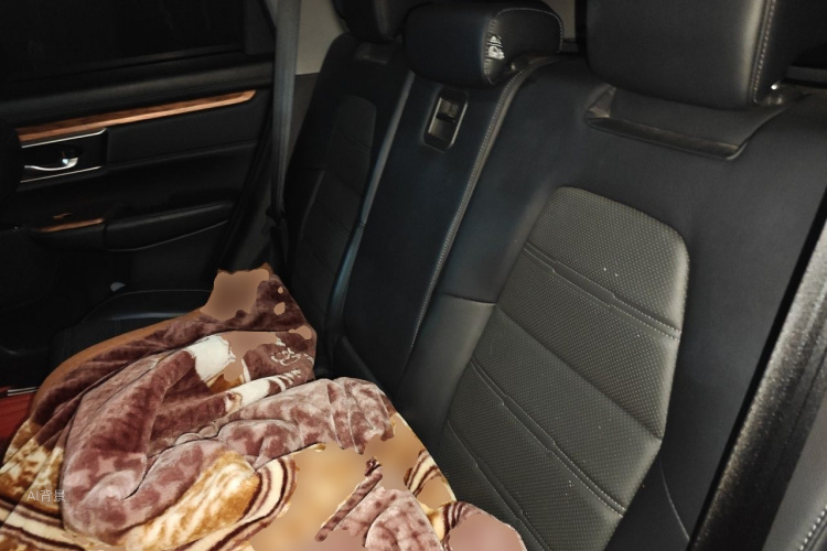 Honda CR-V 2018 car image #19