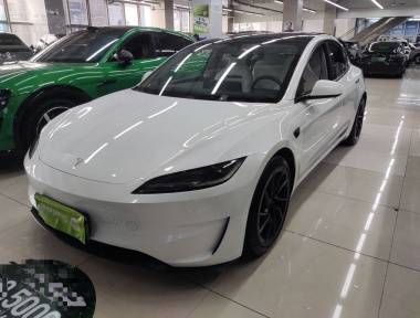 Tesla Model 3 2024 immagine di auto 