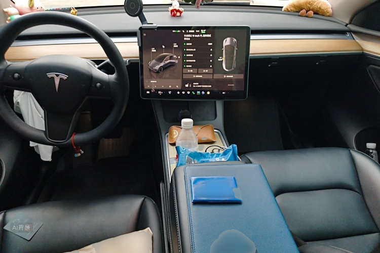 Tesla Model Y 2022 car image #11