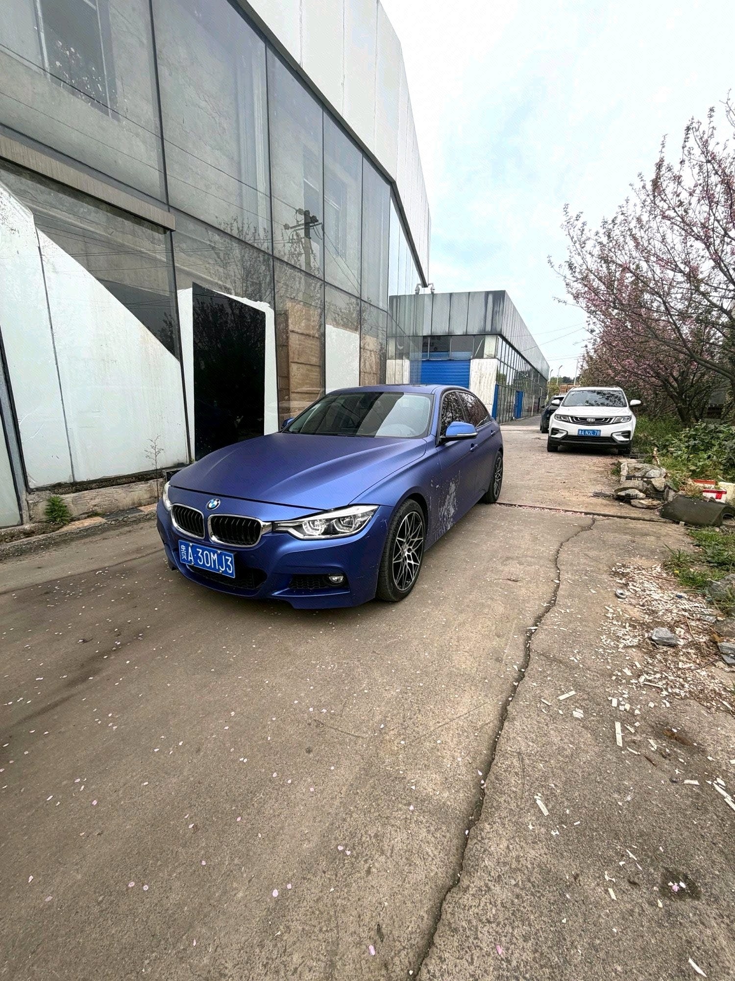 BMW 3 Series 2018 car image 