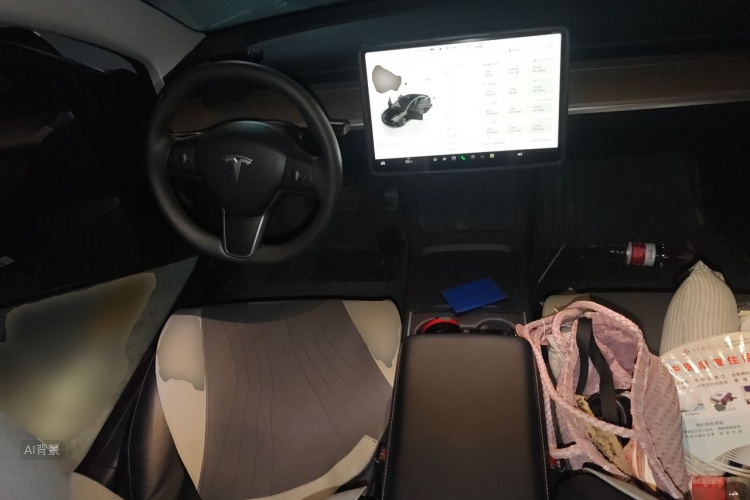 Tesla Model 3 2023 car image #11