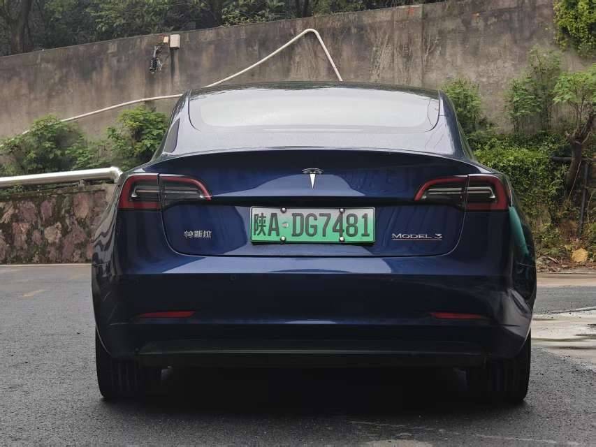 Tesla Model 3 2021 #5 Tesla Model 3 2021 car image #5